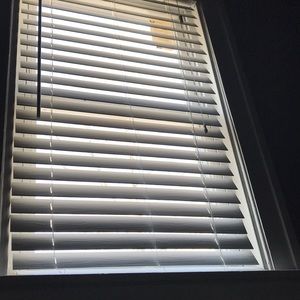 Meet your Posher, Ronald